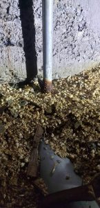 松山市桑原　Y様邸イメージ2